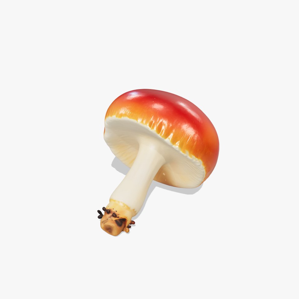 Young Red-Cap Mushroom model pack